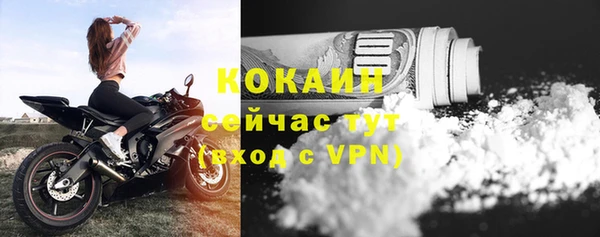 PSILOCYBIN Заводоуковск