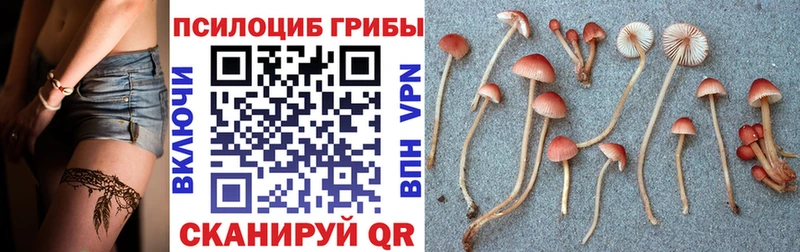 Галлюциногенные грибы MAGIC MUSHROOMS  Купить где  Кораблино 